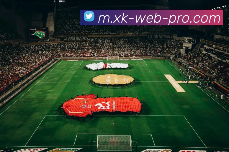 多媒体互动体验